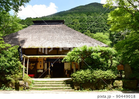箱根町 甘酒茶屋と新緑 箱根町 甘酒茶屋と新緑 90449018