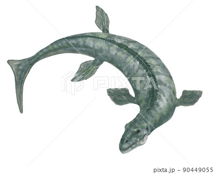 ダコサウルス　『強烈に引き裂くトカゲ』の名を持つ海棲の古代ワニ属 90449055