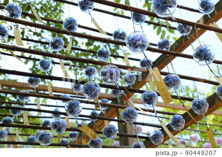 正寿院(通称:風鈴寺)の風鈴まつり 【京都府宇治田原町】 正寿院(通称:風鈴寺)の風鈴まつり 【京都府宇治田原町】 90449207