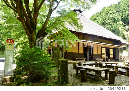 箱根町　甘酒茶屋と新緑と箱根登山バス停留所 90449218