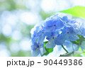 アジサイの花 90449386