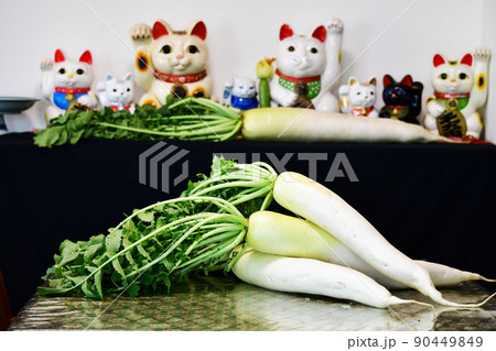 長～い大根のお供え物。収穫。葉も美味しいよ。家庭菜園。イメージ素材 90449849