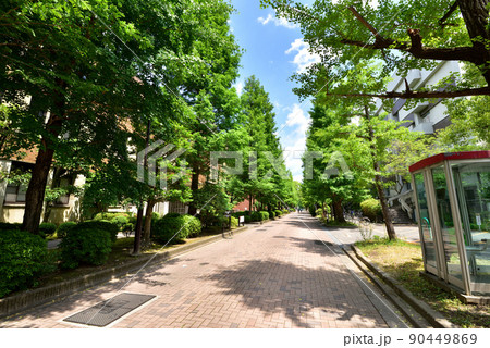 京都大学吉田キャンパス北部構内　左3号館　理系キャンパス　 90449869