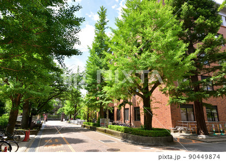 京都大学吉田キャンパス北部構内 右2号館 理系キャンパス 京都大学吉田キャンパス北部構内 右2号館 理系キャンパス 90449874