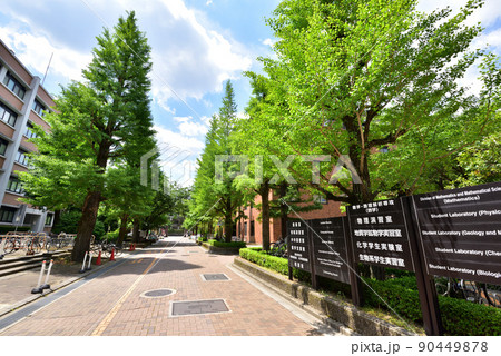 京都大学吉田キャンパス北部構内　理系キャンパス　 90449878