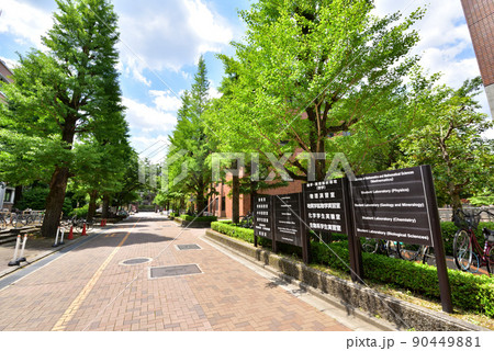 京都大学吉田キャンパス北部構内 理系キャンパス 京都大学吉田キャンパス北部構内 理系キャンパス 90449881