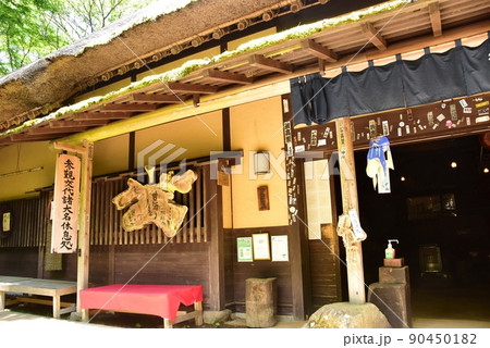 箱根町 甘酒茶屋出入口付近と新緑 箱根町 甘酒茶屋出入口付近と新緑 90450182