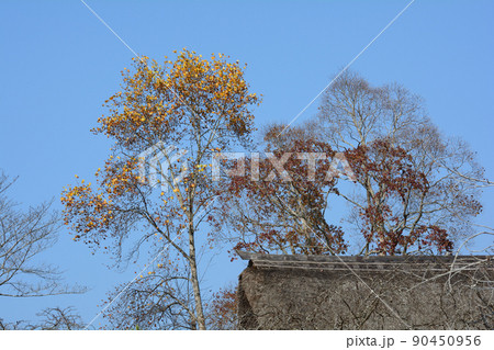 春風萬里荘　2021-11-20　＃105 90450956