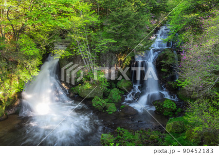 栃木県日光市　新緑の竜頭の滝 90452183