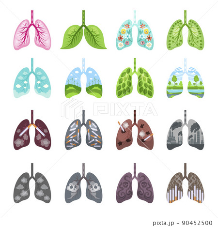 Tobacco lungs. Unhealthy damaged organism clear and healthy respiration systems recent vector templates pictures set 90452500