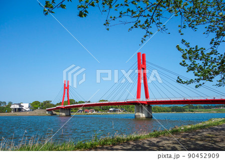 北潟湖畔公園〜アイリスブリッジ【福井県あわら市】 90452909