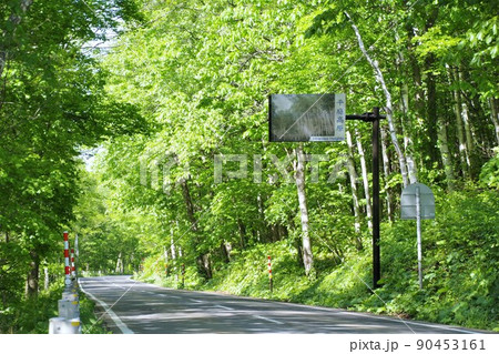 岩手の風景　春の平庭高原の森のトンネル 90453161