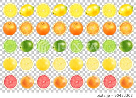ポストカード 壁紙 水彩イラスト 柑橘 ポストカード 壁紙 水彩イラスト 柑橘 90453308