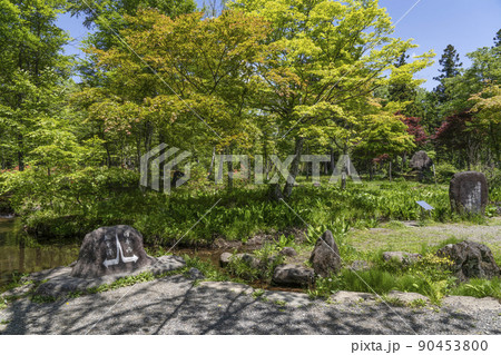 ひるがの高原分水嶺公園 90453800