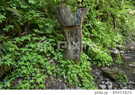 長良川源流湧水 長良川源流湧水 90453824