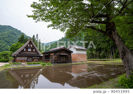 【富山県】 越中五箇山 菅沼合掌造り集落 【富山県】 越中五箇山 菅沼合掌造り集落 90453995