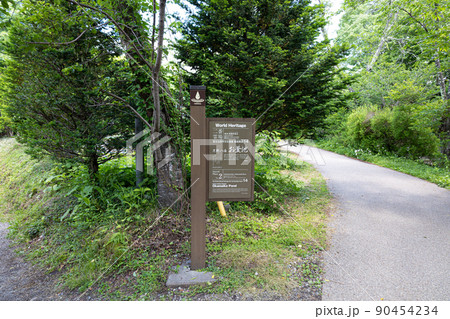 山梨県忍野八海のお釜池（富士山世界文化遺産構成資産）6月初旬 90454234