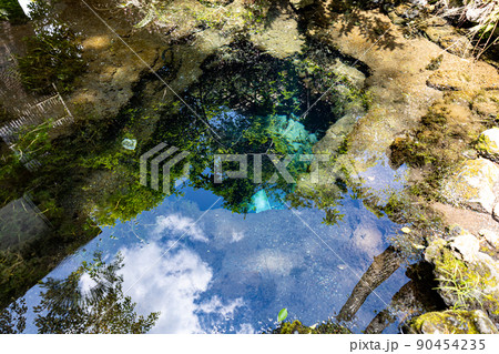 山梨県忍野八海のお釜池(富士山世界文化遺産構成資産)6月初旬 山梨県忍野八海のお釜池(富士山世界文化遺産構成資産)6月初旬 90454235