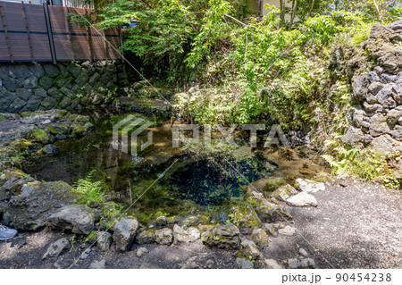 山梨県忍野八海のお釜池(富士山世界文化遺産構成資産)6月初旬 山梨県忍野八海のお釜池(富士山世界文化遺産構成資産)6月初旬 90454238