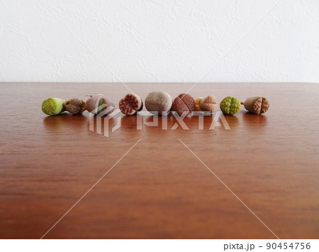 多肉植物 第四種郵便物で届いたカラフルなリトープスの抜き苗セット 写真 多肉植物 第四種郵便物で届いたカラフルなリトープスの抜き苗セット 写真 90454756