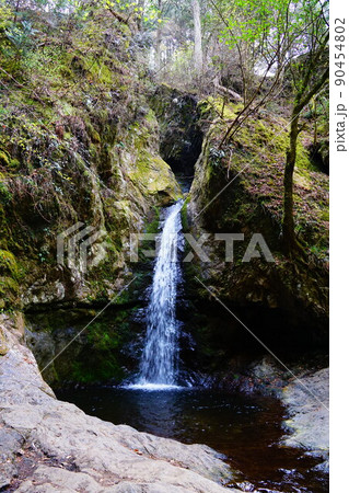 東京 御岳山 七代の滝 東京 御岳山 七代の滝 90454802