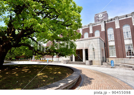 京都大学　京大シンボルの時計台とクスノキ　京大吉田キャンパス　 90455098