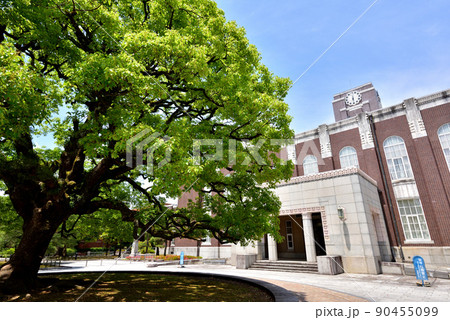 京都大学　京大シンボルの時計台とクスノキ　京大吉田キャンパス　 90455099