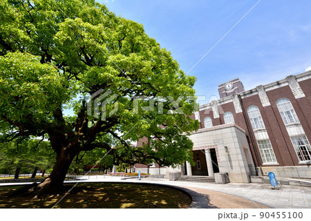 京都大学　京大シンボルの時計台とクスノキ　京大吉田キャンパス　 90455100
