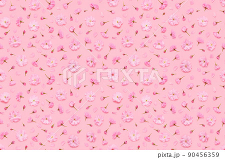 Seamless floral pattern of sakura cherry flowers buds and petals, double flowered yaezakura Seamless floral pattern of sakura cherry flowers buds and petals, double flowered yaezakura 90456359