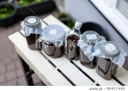 カブトムシの飼育 昆虫 マット交換 カブトムシの飼育 昆虫 マット交換 90457440