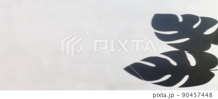 monstera leaf shadow on gray background with space for text. nature background 90457448