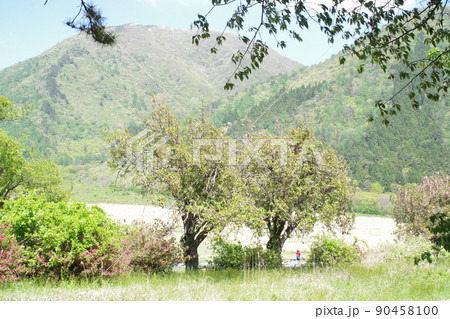 春の三瓶山の景色 春の三瓶山の景色 90458100