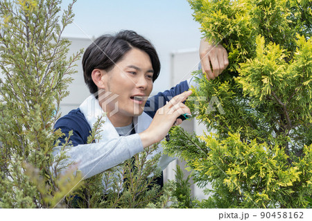 若い植木職人 90458162