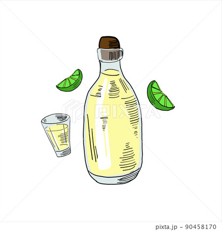 Bottle of tequila, shot glass and lime slices. Colored simple doodle. Vector clipart, isolated on white 90458170
