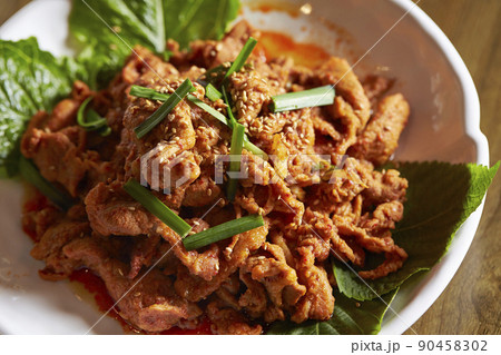 韓国の豚の甘辛炒め　チェユクポックム　チェユクポックン 90458302