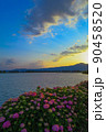 紫陽花と琵琶湖と夕焼け 90458520