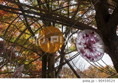 和傘と秋 90459524