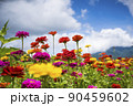 青空と花畑 90459602