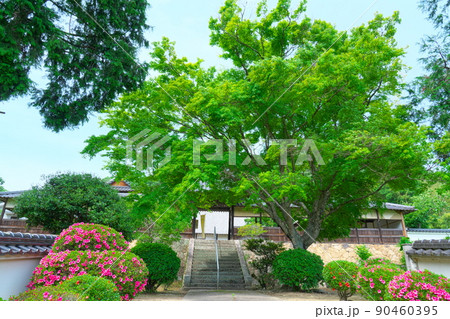 【瀬戸内三十三観音霊場】第十六番 北条早雲ゆかりの寺 初夏の法泉寺の参道2 岡山県井原市 【瀬戸内三十三観音霊場】第十六番 北条早雲ゆかりの寺 初夏の法泉寺の参道2 岡山県井原市 90460395