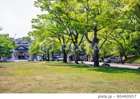 広島護国神社の風景です。戦禍と深い関りがある神社です。天皇皇后陛下御親拝されました。広島県 90460957