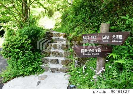箱根町　お玉ヶ池道しるべと新緑 90461327