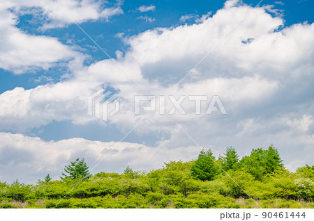 新緑の高ボッチ高原 新緑の高ボッチ高原 90461444