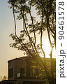 Tree silhouette with building in background during sunset 90461578