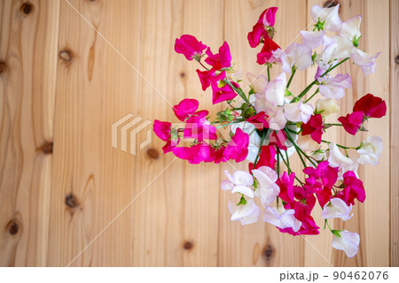 花瓶に生けて杉の無垢板の床に置いたスイートピーの花の俯瞰 花瓶に生けて杉の無垢板の床に置いたスイートピーの花の俯瞰 90462076