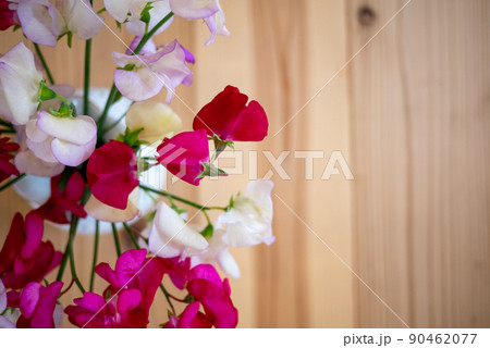 花瓶に生けて杉の無垢板の床に置いたスイートピーの花の俯瞰 90462077