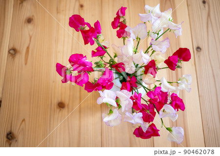 花瓶に生けて杉の無垢板の床に置いたスイートピーの花の俯瞰 花瓶に生けて杉の無垢板の床に置いたスイートピーの花の俯瞰 90462078