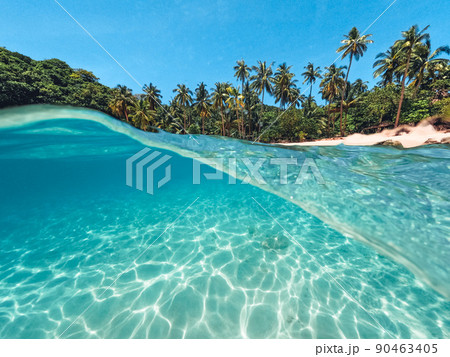 Tropical Island Palm and underwater 90463405