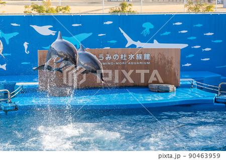 水族館の風景　ジャンプするイルカと水しぶき　仙台うみの杜水族館（宮城県仙台市） 90463959