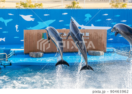 水族館の風景　ジャンプするイルカと水しぶき　仙台うみの杜水族館（宮城県仙台市） 90463962