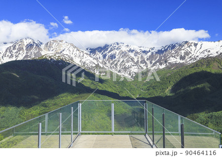 絶景テラス「ハクバ マウンテンハーバー」 新緑 絶景テラス「ハクバ マウンテンハーバー」 新緑 90464116